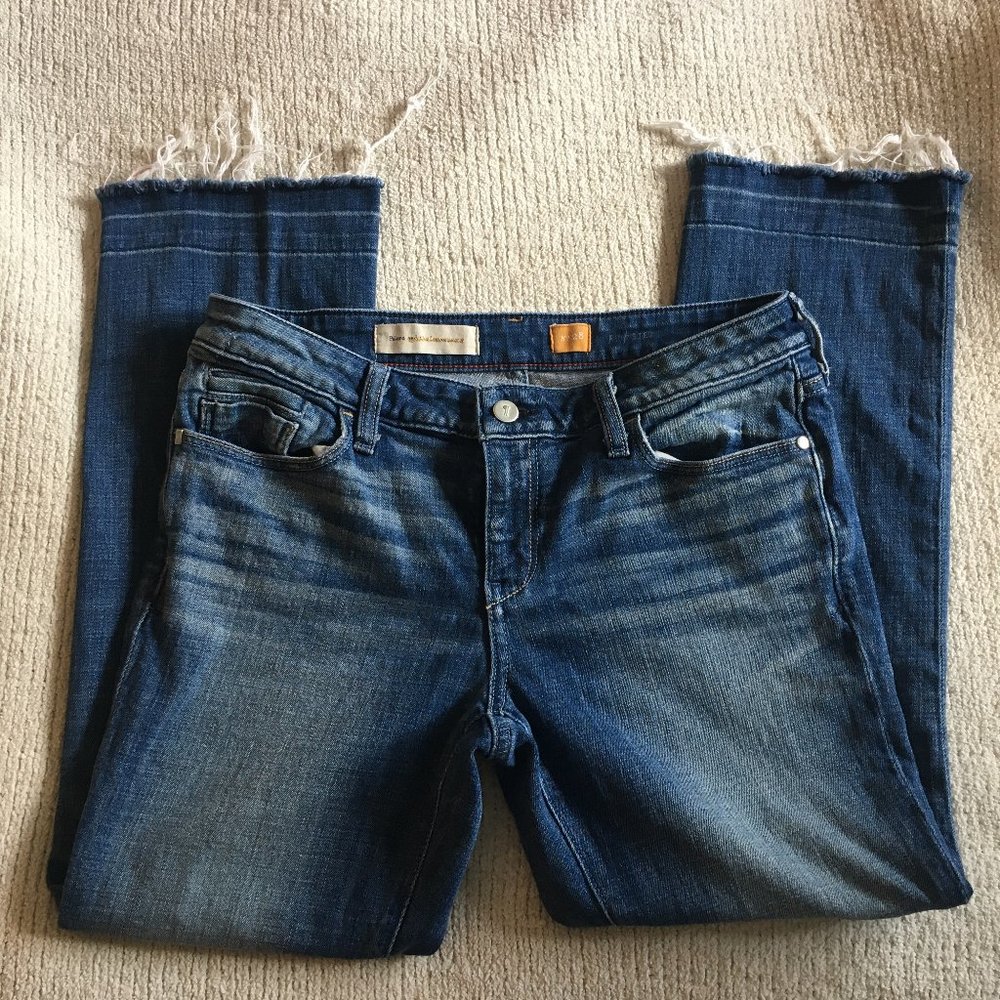 Anthro Pilcro and the Letterpress Stet Jeans